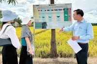 Đại diện Trung tâm Khuyến nông tỉnh Đắk Lắk trao đổi về các chương trình canh tác lúa giảm phát thải tại Trại lúa giống Hòa Xuân. (Ảnh MINH ANH)