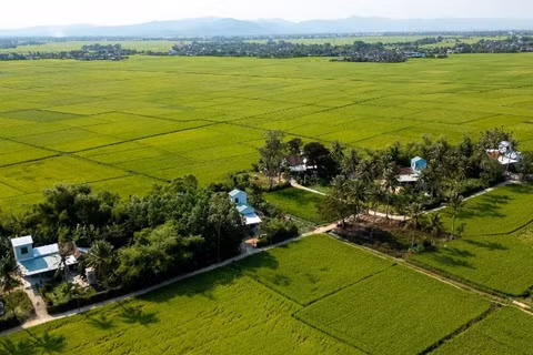 Những ngôi nhà an toàn được Ngân hàng Phát triển Châu Á (ADB) và Chính phủ tài trợ được xây dựng lại trong chiến dịch Quang Trung tại khu phố Đông Thạnh, phường Đông Hòa tỉnh Đắk Lắk.