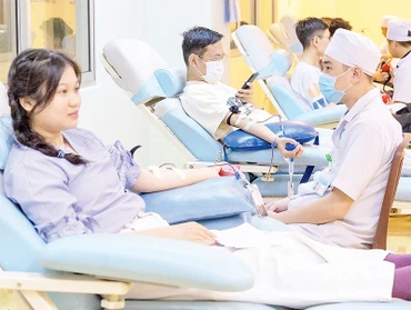 Các thành viên Câu lạc bộ vận động hiến máu tình nguyện tham gia hiến máu.