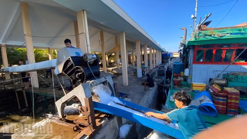Huế rà soát, chấn chỉnh để cùng ngư dân cả nước gỡ cảnh báo "thẻ vàng" IUU của Ủy ban châu Âu (EC)
