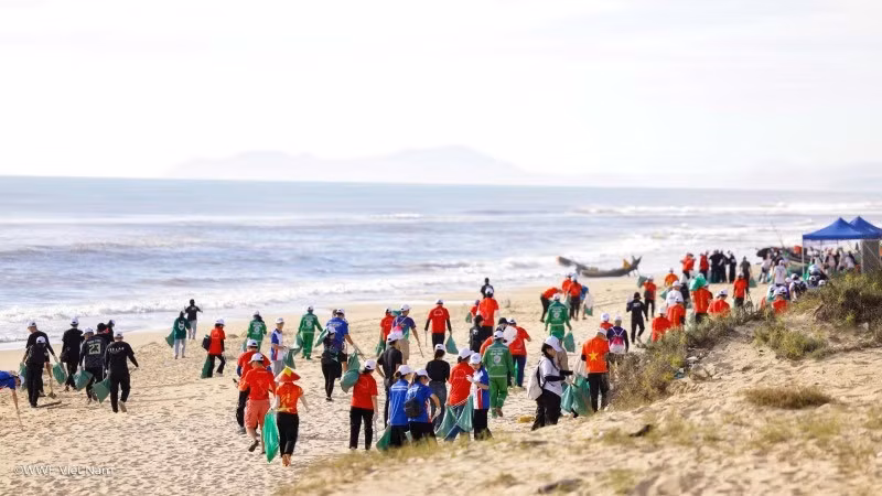 Các hoạt động thu gom rác trên bãi biển của dự án luôn thu hút nhiều người tham gia.