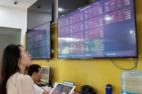 Ảnh minh họa. (Nguồn: TTXVN)