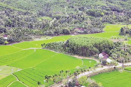 Thạnh Bình hướng đến phát triển du lịch sinh thái với các di tích lịch sử, danh lam thắng cảnh.