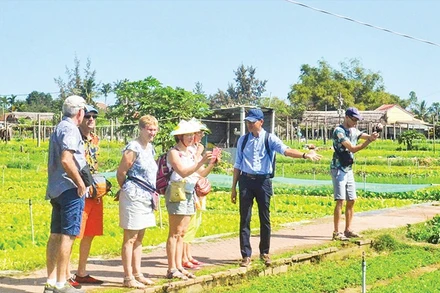 Du khách tham quan Làng rau Trà Quế, phường Hội An Tây, thành phố Đà Nẵng.