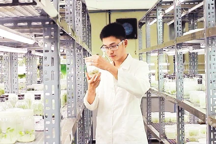 Đại học Duy Tân đẩy mạnh hoạt động nghiên cứu khoa học. (Ảnh MINH CHUNG)