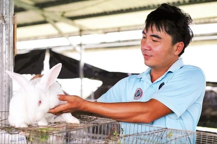 Thỏ giống New Zealand mang về thu nhập cao cho người nông dân.