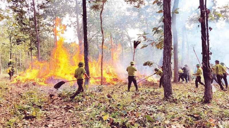 Ngày đêm bám rừng canh 'giặc lửa' tại Đắk Lắk