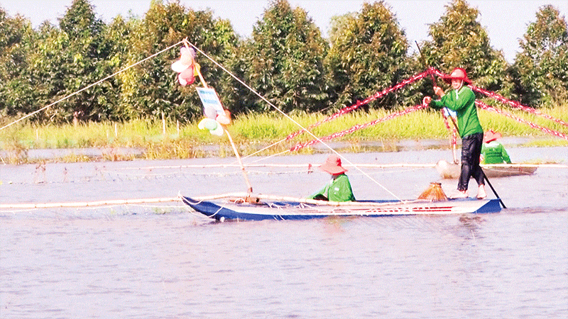 Nghề đẩy côn không chỉ là sinh kế mà còn trở thành sản phẩm văn hóa đặc thù của người dân miền Tây.
