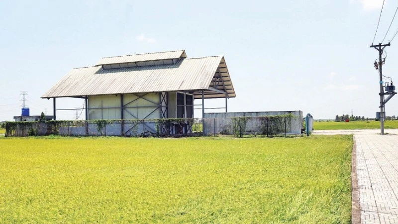 Nhà máy chế biến trái cây Trà Vinh chậm tiến độ, gây lãng phí