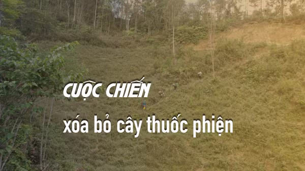 Những ngày trong rừng, thành viên Đoàn công tác 06 liên tục phải leo ngược dốc để lên trên cao quan sát khu vực nghi có tái trồng cây thuốc phiện.