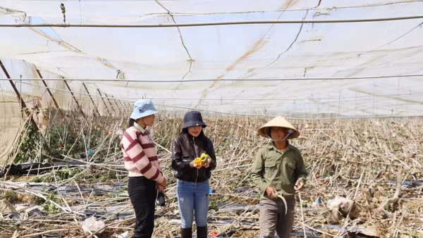 Nhà báo Nguyễn Thị Lương (đứng giữa) tác nghiệp ở xã Ka Đô sau cơn bão số 13, tháng 11/2025.