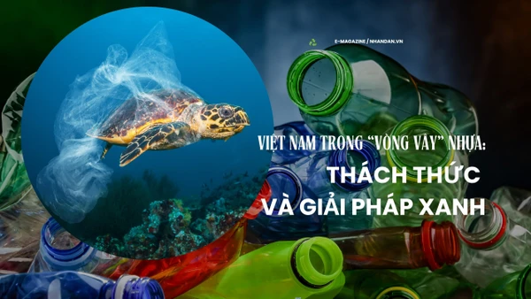 Việt Nam trong “vòng vây” nhựa: Thách thức và giải pháp xanh