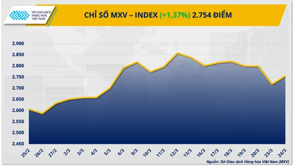 Lực mua áp đảo trên thị trường hàng hóa, chỉ số MXV-Index tăng 1,4%