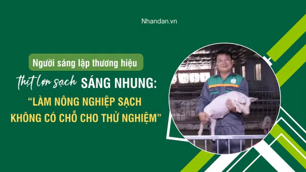 Người sáng lập thương hiệu thịt lợn sạch Sáng Nhung: “Làm nông nghiệp sạch không có chỗ cho thử nghiệm”