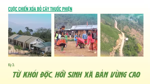 Cuộc chiến xóa bỏ cây thuốc phiện - Kỳ 3: Từ khói độc, hồi sinh xã, bản vùng cao