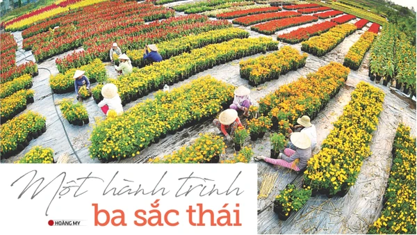 Một hành trình ba sắc thái