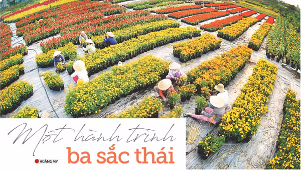 Một hành trình ba sắc thái