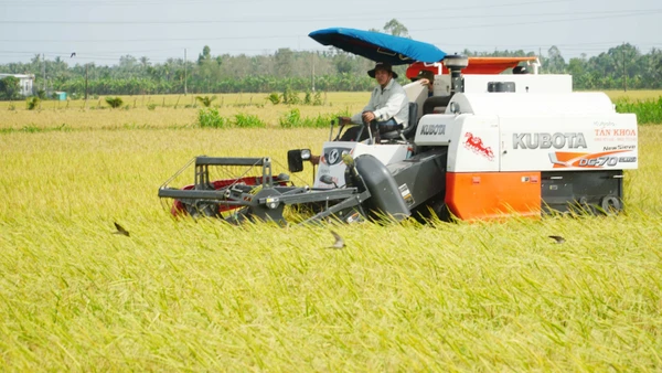 Giá Vàng Ngày 17/10: Vàng Thế Giới Tăng Hơn 100 Usd/Ounce, Vàng Miếng Trong Nước Tăng Hơn 3 Triệu Đồng/Lượng Ảnh: Hữu Nghĩa