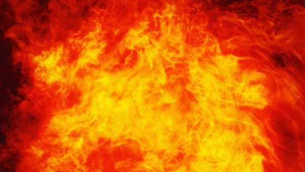 (Ảnh minh họa: TTXVN)