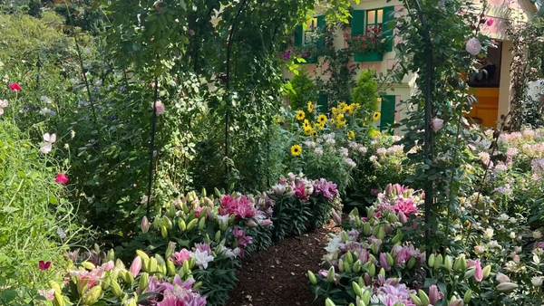 Không gian xanh với đa dạng thực vật luôn là hướng phát triển bền vững (Ảnh: Khánh Linh)