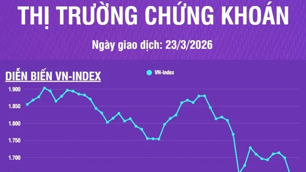 [Infographic] Chứng khoán ngày 23/3: Áp lực bán mạnh trên hầu hết thị trường, VN-Index giảm mạnh 56,64 điểm