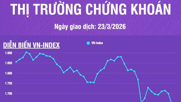 [Infographic] Chứng khoán ngày 23/3: Áp lực bán mạnh trên hầu hết thị trường, VN-Index giảm mạnh 56,64 điểm