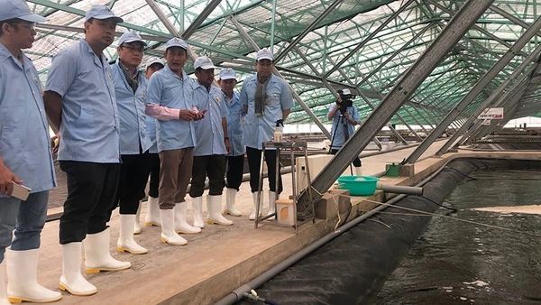 Các nhà khoa học của Đại học Quốc gia Thành phố Hồ Chí Minh tư vấn cho một doanh nghiệp nuôi tôm ở Cà Mau. (Ảnh: Báo Nhân Dân)