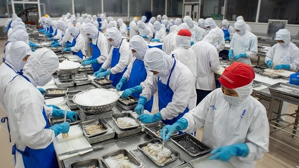 Chế biến một mặt hàng thủy sản phục vụ khẩu tại Công ty Phát triển Kinh tế Duyên Hải (Cofidec) ở khu vực Thành phố Hồ Chí Minh (trước đây).