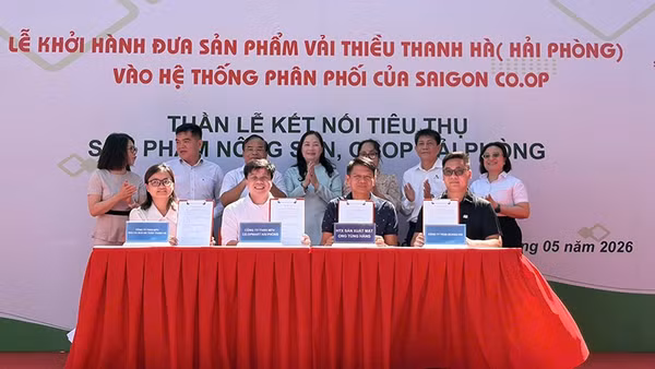 Đại diện Saigon Co.op cùng các doanh nghiệp, hợp tác xã và nhà cung cấp ký kết hợp tác tiêu thụ nông sản, hàng OCOP Hải Phòng.