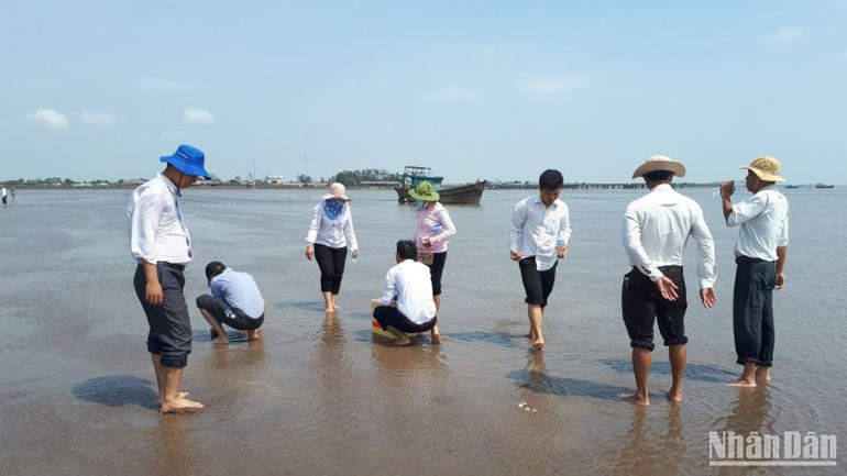 Ngành chuyên môn khảo sát vùng nuôi có nghêu chết. Ngành chuyên môn khảo sát vùng nuôi có nghêu chết.