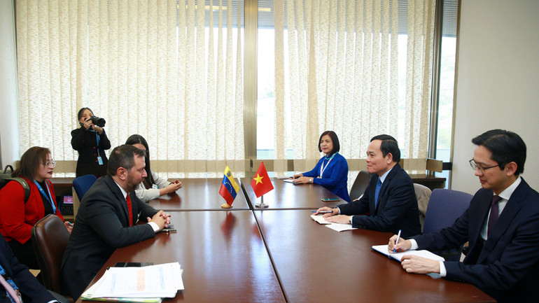 Phó Thủ tướng Trần Lưu Quang tiếp Bộ trưởng Ngoại giao Venezuela Yvan Gil Pinto. (Ảnh: baochinhphu.vn)