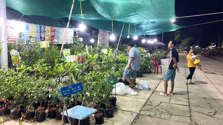 Khu vực trưng bày, chào bán cây giống, bonsai.