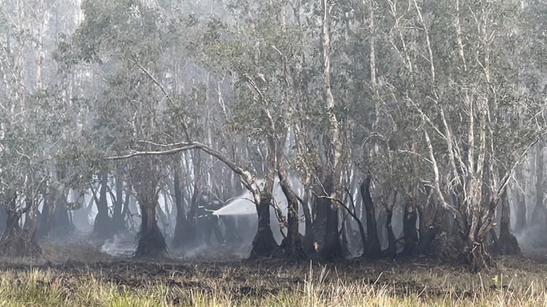 Lực lượng chức năng tích cực chữa cháy.