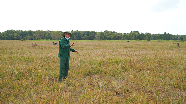 Ông Đỗ Minh Chánh có mặt tại phân khu A4 vào tháng 2/2024, khu vực này trước đây sếu đầu đỏ thường tìm đến. (Ảnh: HỮU NGHĨA)