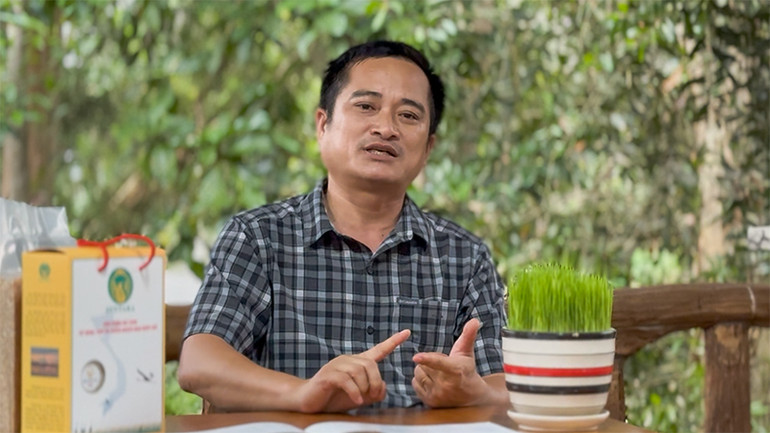 Thạc sĩ Nguyễn Hoài Bảo cho rằng công cuộc phục hồi môi trường sống cho sếu phải là câu chuyện dài hơi.