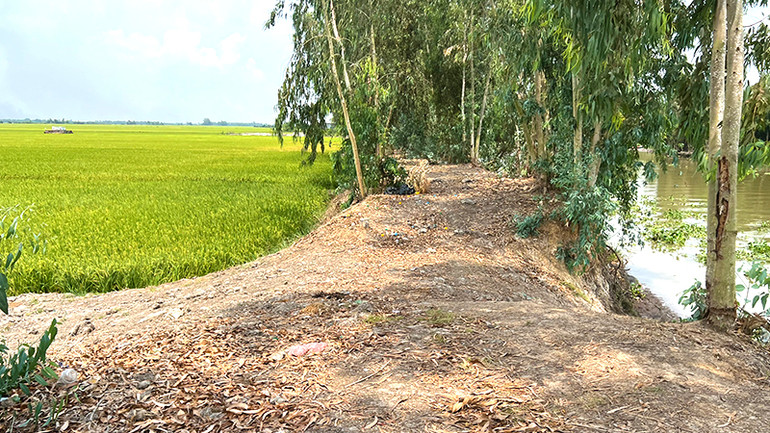 Tuyến đường có đoạn thưa thớt nhà dân.