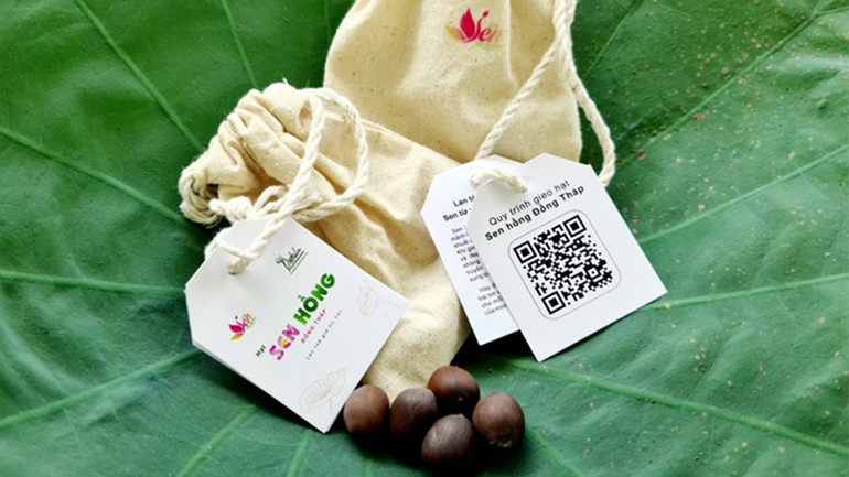 Túi hạt sen trao tặng đến du khách dịp Lễ hội Sen Đồng Tháp.