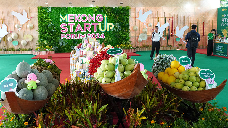 Tại tỉnh Đồng Tháp ngày càng có nhiều sản phẩm nông nghiệp sản xuất theo hướng hữu cơ, nông nghiệp xanh. (Ảnh: HỮU NGHĨA)