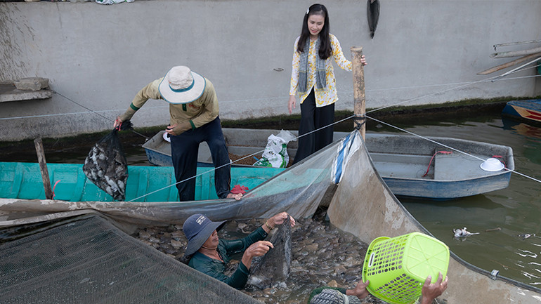 Thu hoạch ếch sử dụng quy trình nuôi không kháng sinh tại xã Láng Biển, huyện Tháp Mười, tỉnh Đồng Tháp. (Ảnh: HỮU NGHĨA)