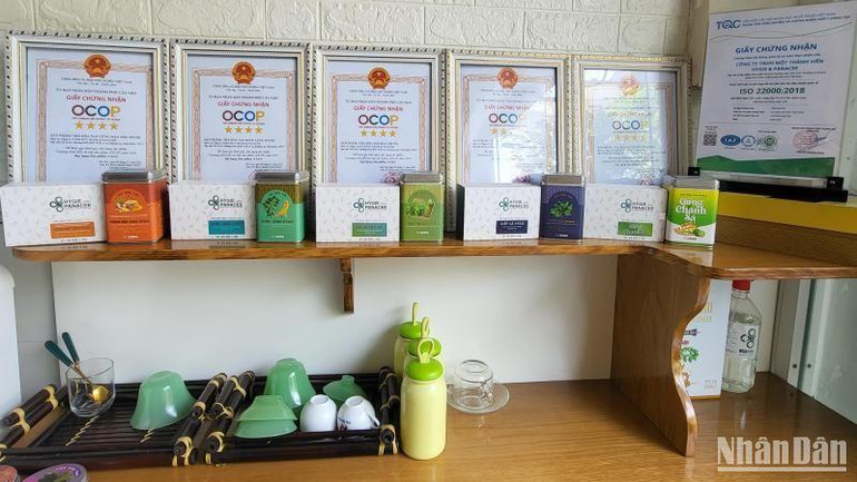 Công ty chị Thắm sản xuất 12 loại trà hòa tan từ rau củ, trong đó có 5 loại đạt chứng nhận OCOP 4 sao.