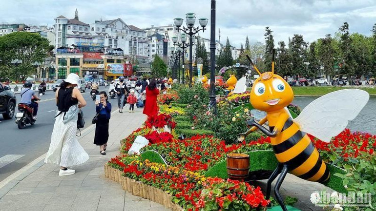 Không gian sắc màu hoa Đà Lạt tại khu vực trung tâm thành phố.