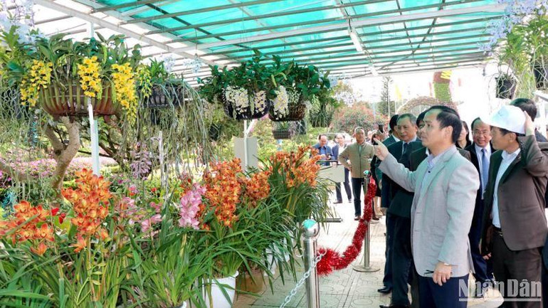 Không gian trưng bày hoa lan.