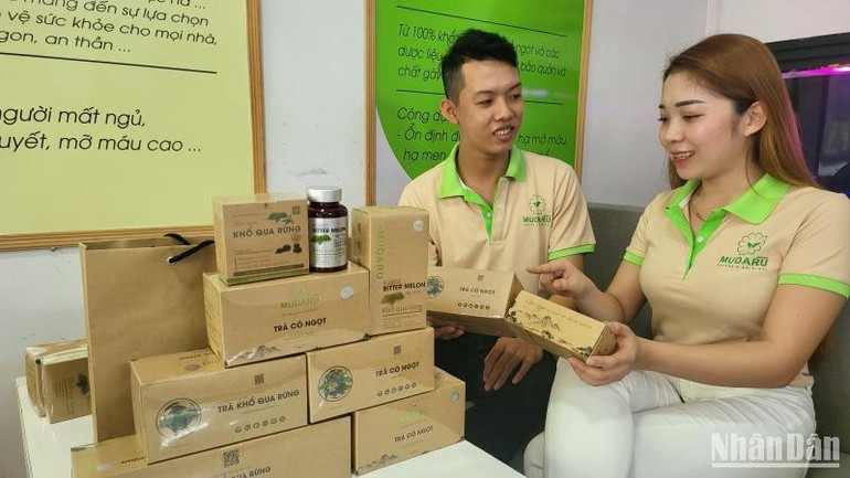 Trà dược liệu từ cây cỏ ngọt nằm trong sản phẩm khởi nghiệp của thành phố Cần Thơ.