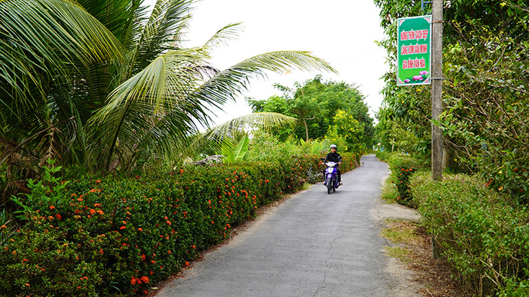 Một đoạn đường làm hàng rào cây xanh trên địa bàn xã Mỹ Đông.