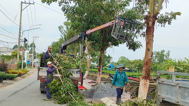 Nhân viên cắt tỉa cây tạo cảnh quan đón Festival hoa-kiểng tại Đường hoa Sa Nhiên-Cai Dao, thành phố Sa Đéc. (Ảnh: HỮU NGHĨA)