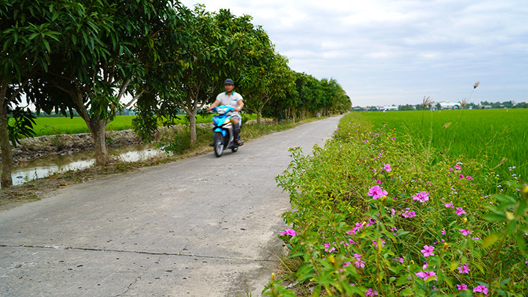 Một tuyến lộ nội đồng tại ấp 5 trồng hoa và cây ăn quả dọc 2 bên đường.