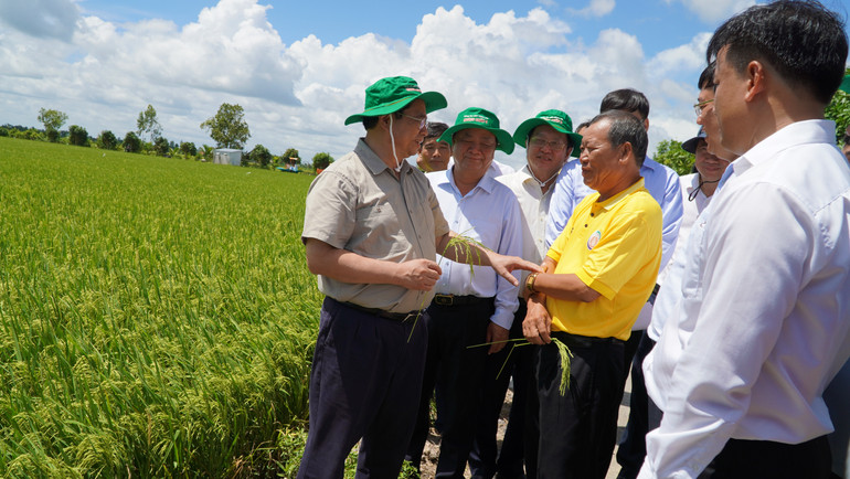 Thăm mô hình nông nghiệp ứng dụng công nghệ cao của Hợp tác xã Dịch vụ nông nghiệp Thắng Lợi. (Ảnh: HỮU NGHĨA)