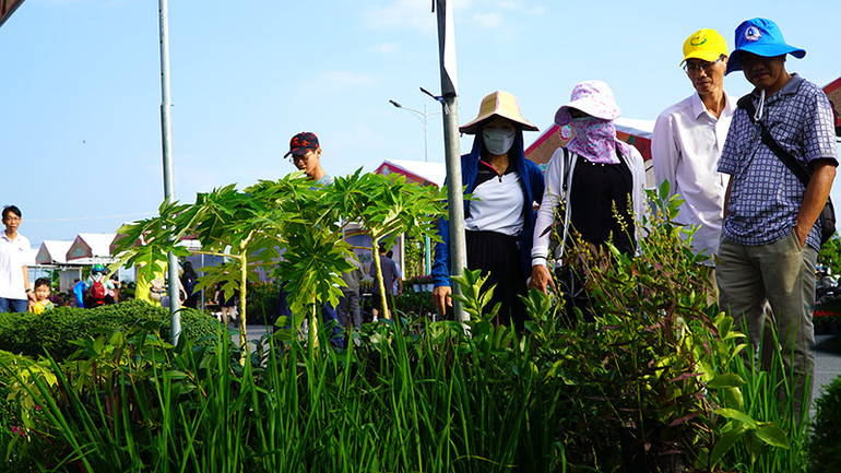 Du khách tham quan các gian hàng trưng bày hoa, kiểng tại khu vực hội thảo. (Ảnh: HỮU NGHĨA) Du khách tham quan các gian hàng trưng bày hoa, kiểng tại khu vực hội thảo. (Ảnh: HỮU NGHĨA)