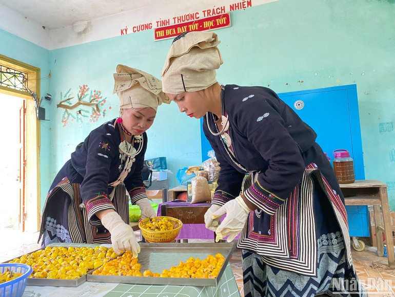 Chế biến trà hoa vàng tại Hợp tác xã nông lâm Nghĩa Tá, huyện Chợ Đồn.