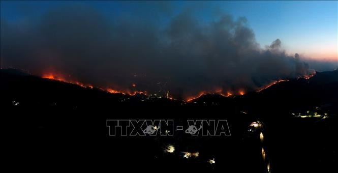 Cháy rừng tại tỉnh Gyeongsang Bắc, Hàn Quốc, ngày 22/3/2025. (Ảnh: THX/TTXVN)